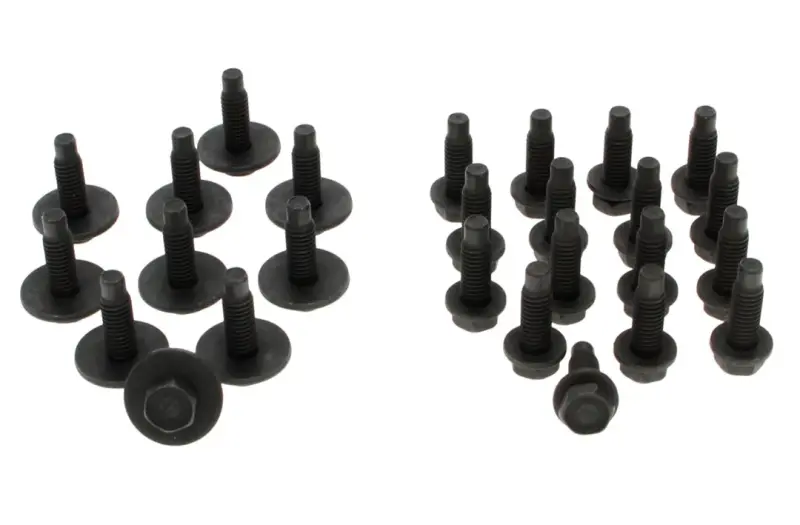 Door Hinge Bolt kit - 70-74 Dodge Plymouth E-Body