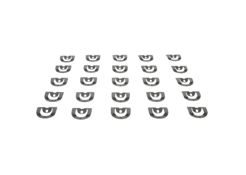 GM Window Reveal Molding Clips (25pcs)