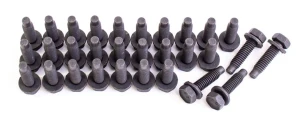 1978 Chevy Monte Carlo Door Hinge Bolt Set - 68-81 Camaro Firebird; 68-72 Chevelle