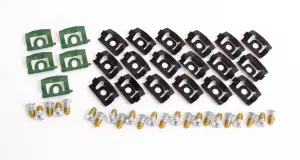 Windshield Molding Clips and Screw Set - 73-76 Dodge Plymouth Dart Sport 71-72 Demon 70-76 Duster - Image 1 of 4