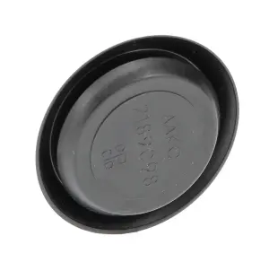 Plastic Body Plug - Depressed Center - 1-3/4inch - as required - Image 3 of 3